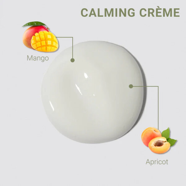 LOMA Calming Cream - Image 2
